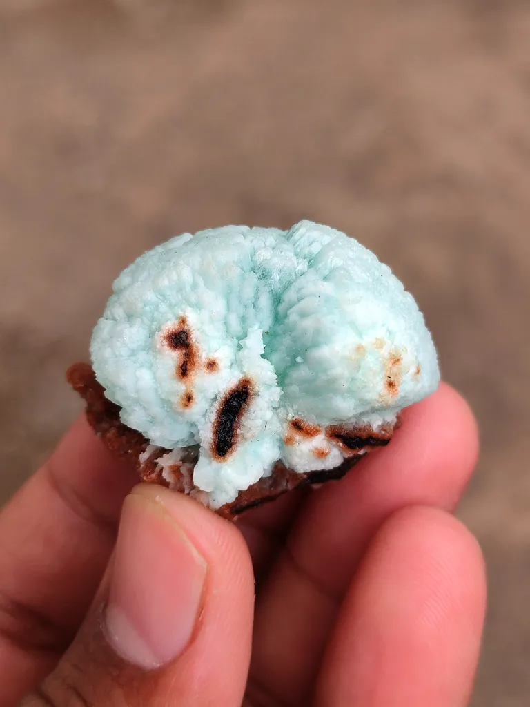Bluesh Green Apophyllite Flower on Heulandite Matrix - image 2