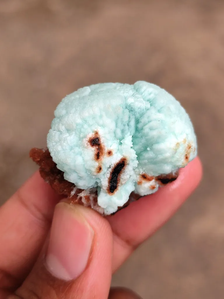 Bluesh Green Apophyllite Flower on Heulandite Matrix - image 6