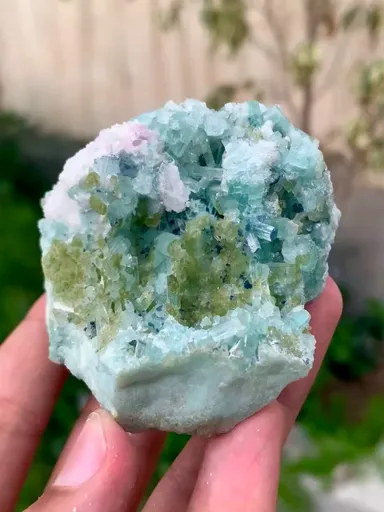 specimen video