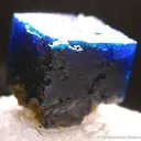 Boleite - image 2