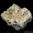 Boleite, Brochanite, Anglesite and Paralaurionite - image 5