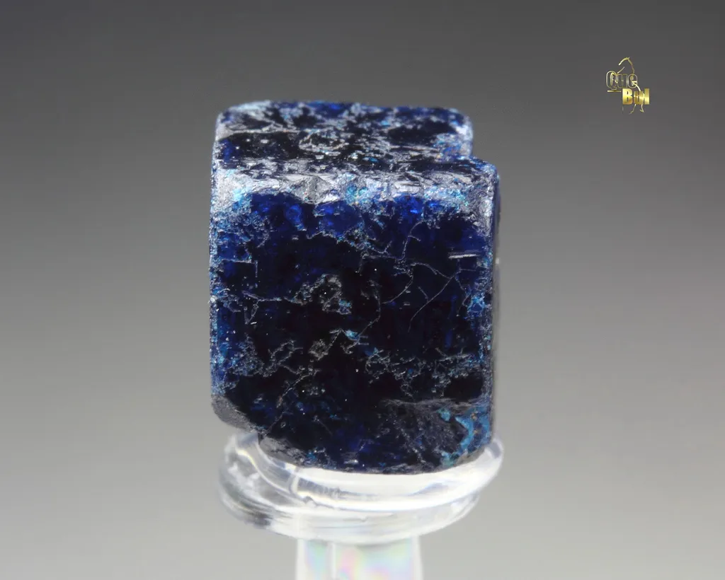 Boleite from Mexico, Amelia Mine image
