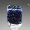 Boleite from Mexico, Amelia Mine - image 1