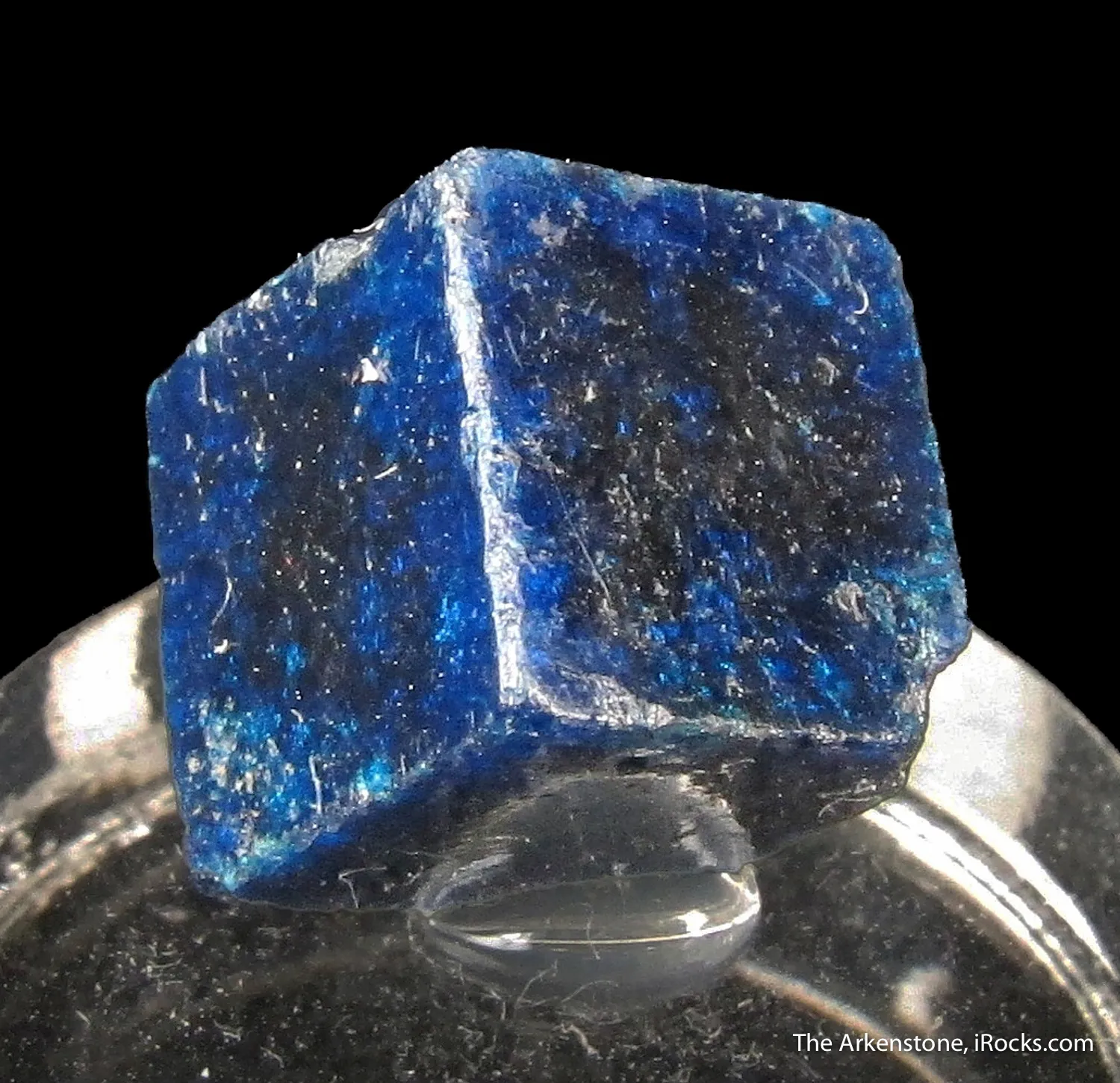 Boleite (Type Locality) - image 3