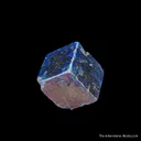 Boleite (Type Locality) - image 2