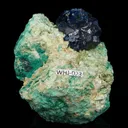 Boleite (unusual modified crystals) - image 5