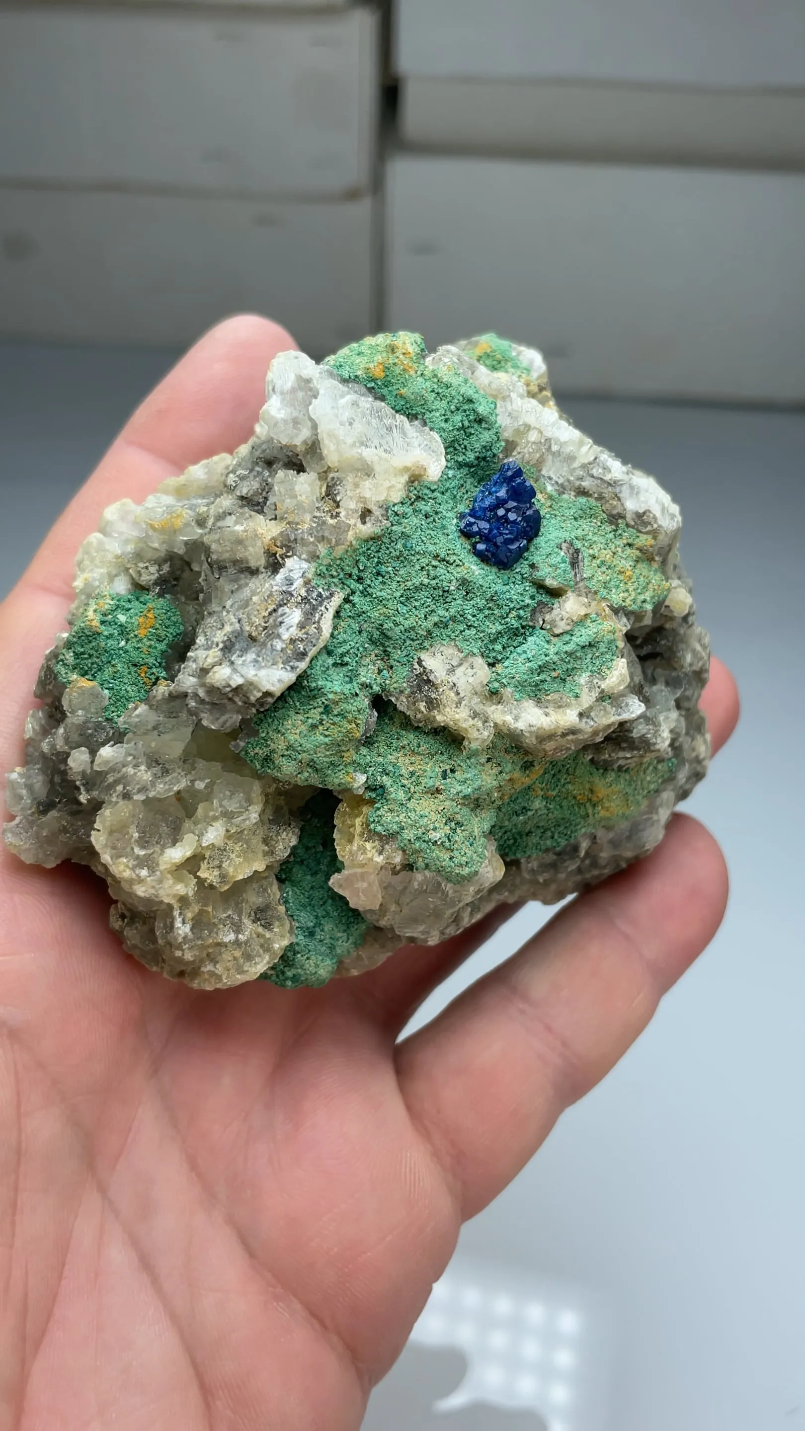Boleite with Clinoatacamite, Gypsum (fake) - image 2