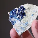 Boleite with PARATACAMITE and Gypsum - image 2