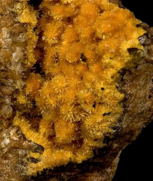 Boltwoodite - image 2