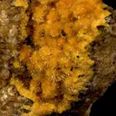 Boltwoodite - image 2