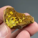 Boltwoodite - image 2