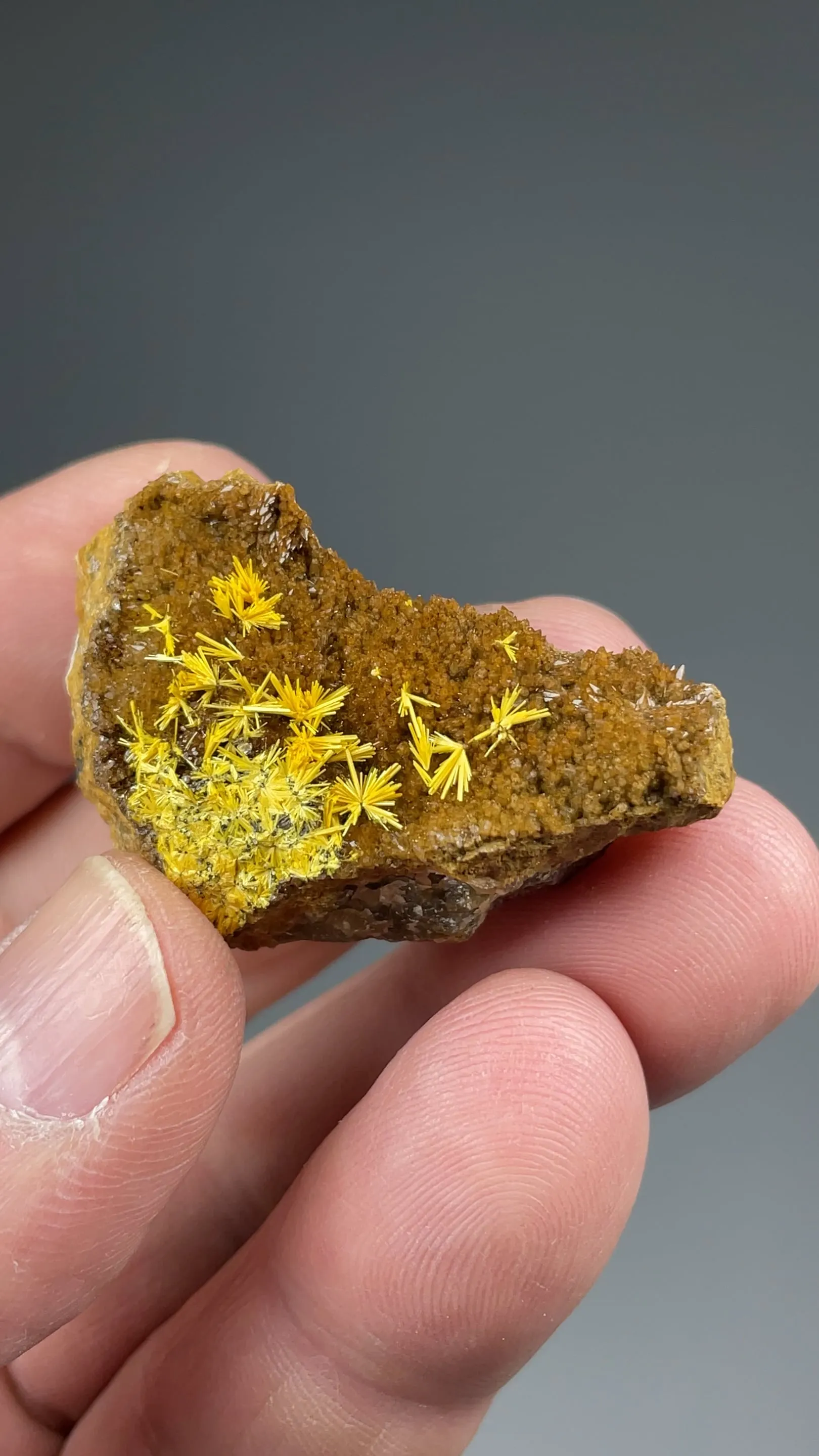 Boltwoodite - image 2