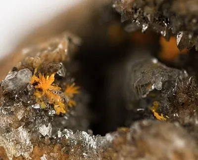 Boltwoodite, Calcite - image 2