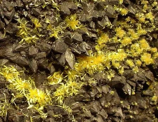 Boltwoodite, Calcite - image 2