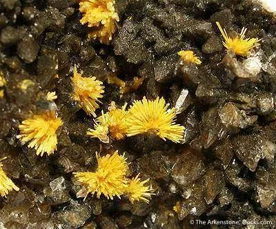 Boltwoodite on Calcite - image 2