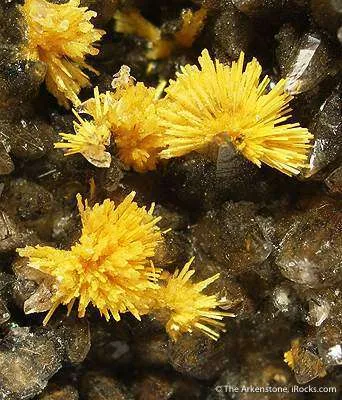 Boltwoodite on Calcite - image 3