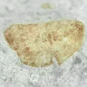 Boracite - image 2