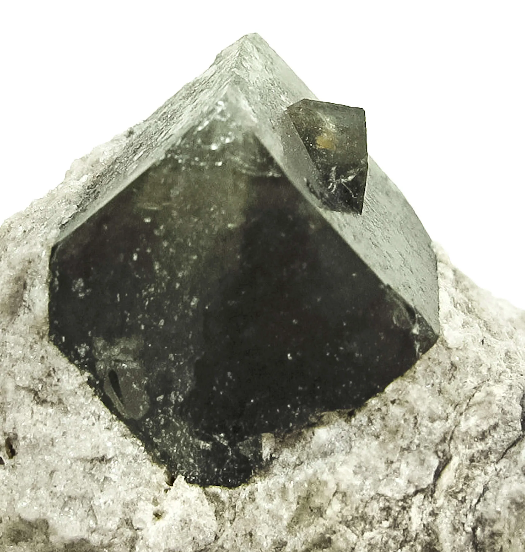 Boracite (Type Loc.) - image 3
