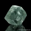 Boracite (type locality) - image 6