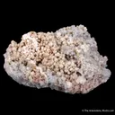 Boracite with Hilgardite - image 3