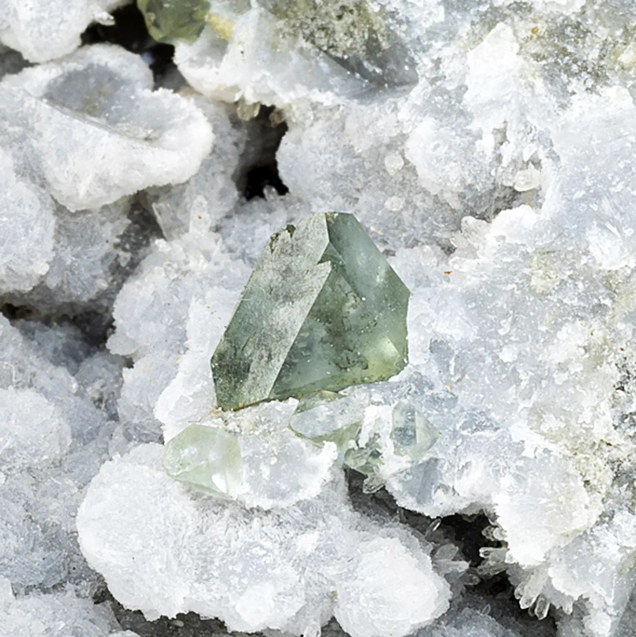 Boracite with Pyrite - image 1