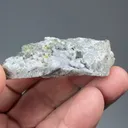 Boracite with Pyrite - image 2