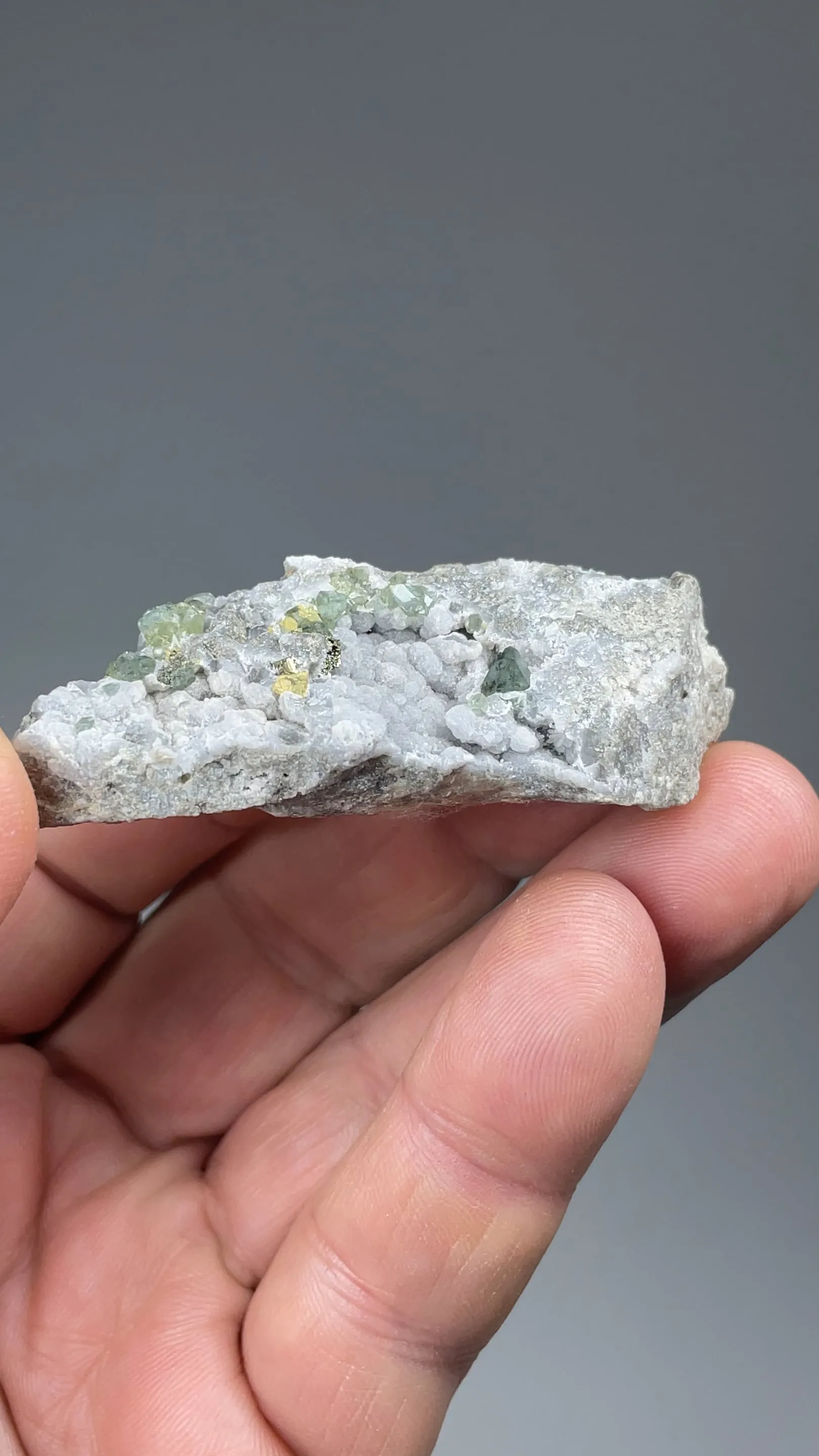 Boracite with Pyrite - image 2