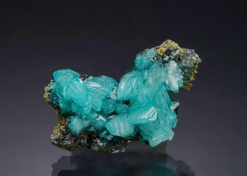Borcarite image