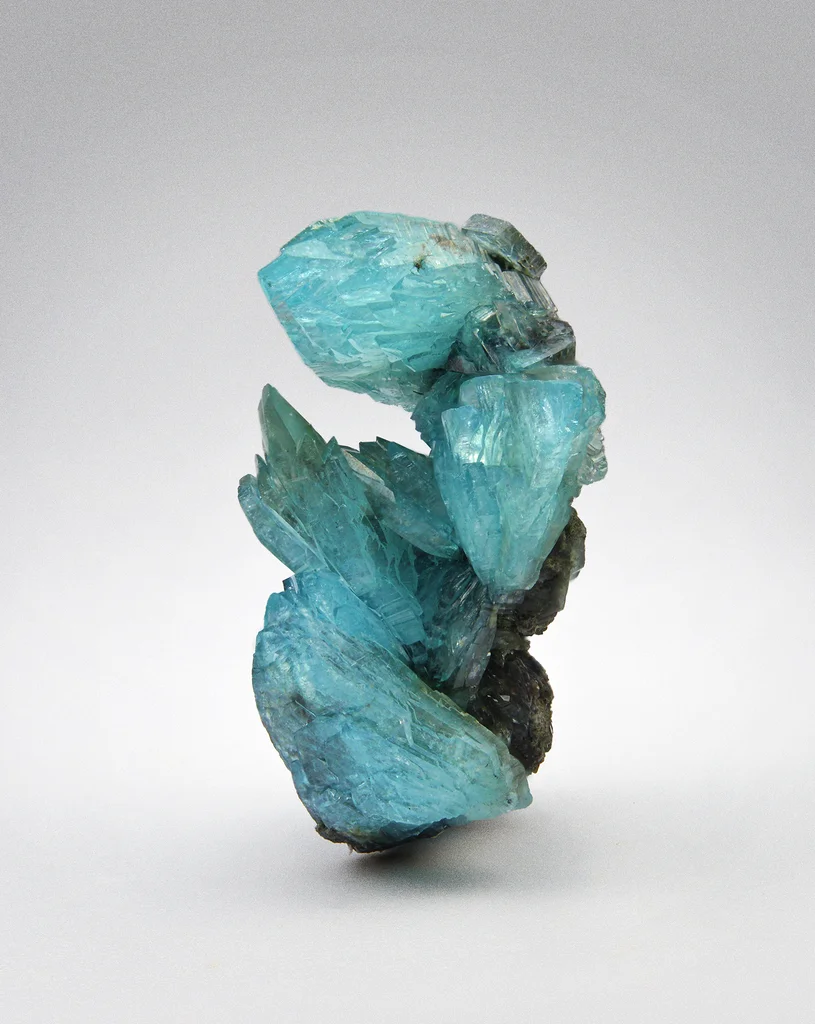 Borcarite from Charcas, San Luis Potosí, Mexico image