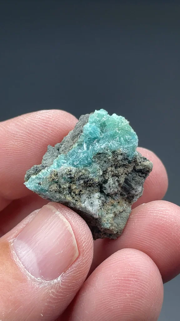Borcarite from San Bartolo mine, Charcas, San Luis Potosí, Mexico - image 2