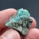 Borcarite from San Bartolo mine, Charcas, San Luis Potosí, Mexico - image 2