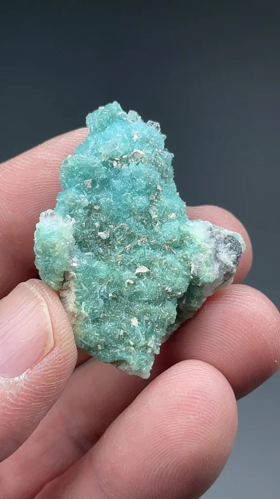 Borcarite from San Bartolo mine, Charcas, San Luis Potosí, Mexico - image 2