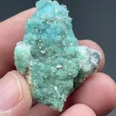 Borcarite from San Bartolo mine, Charcas, San Luis Potosí, Mexico - image 2
