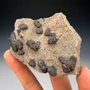Bornite - image 2