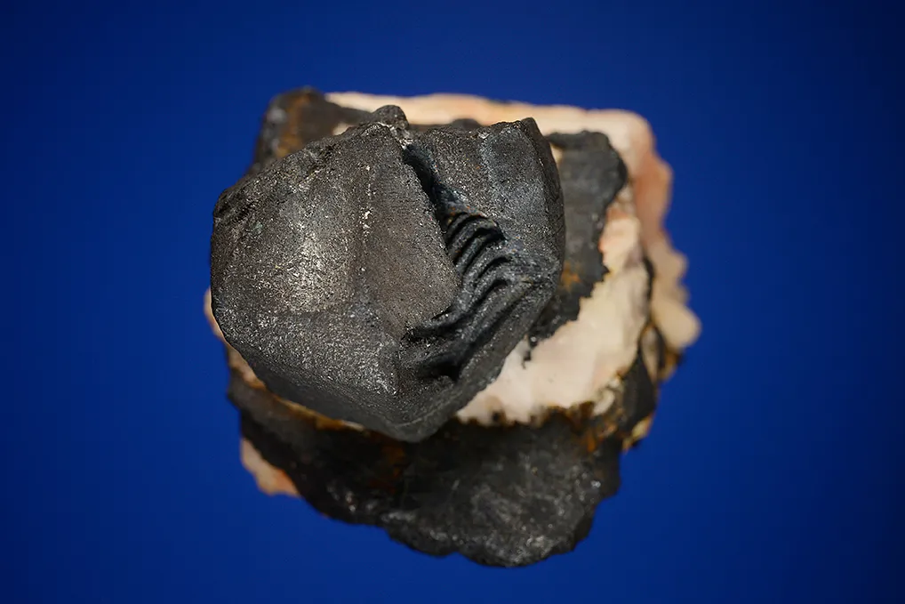 Bornite - image 4