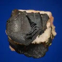 Bornite - image 4