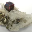Bornite, Chalcopyrite, Pyrite, Quartz - image 1