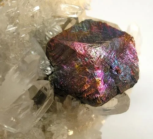 Bornite, Chalcopyrite, Pyrite, Quartz - image 2