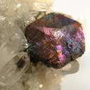 Bornite, Chalcopyrite, Pyrite, Quartz - image 2