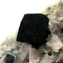 Bornite on Baryte - image 2