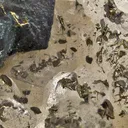 Bornite on Calcite - image 2