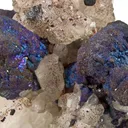 Bornite on Calcite - image 2