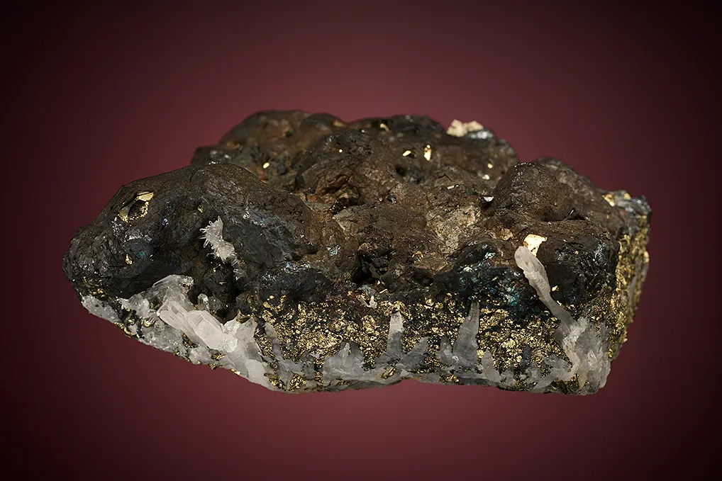 Bornite on Pyrite - image 5