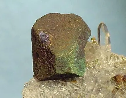 Bornite, Quartz image
