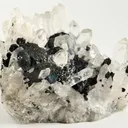 Bornite, Quartz - image 2