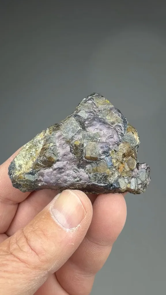 Bornite with Andradite - image 2