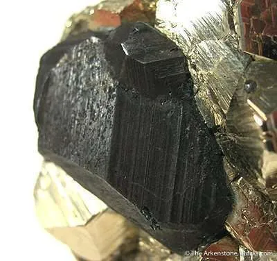 Bornite With Pyrite - image 2