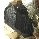 Bornite With Pyrite - image 2