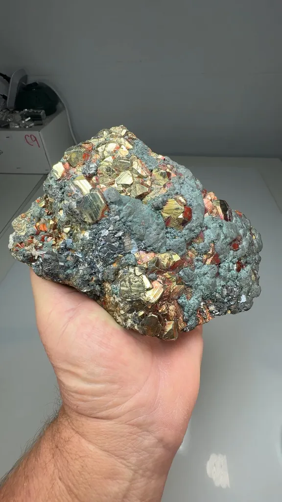 Bornite with Pyrite, Enargite - image 2