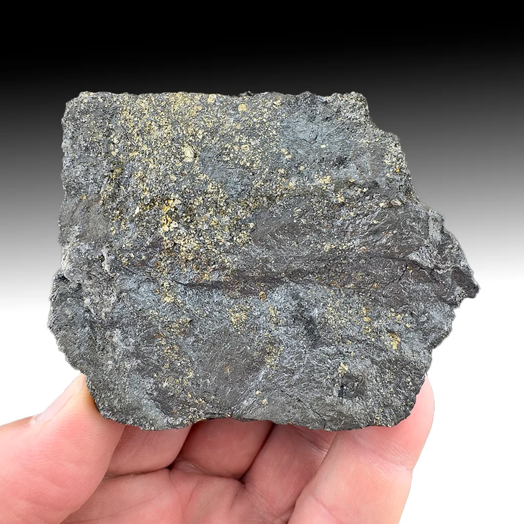 Bornite with Pyrite - image 1